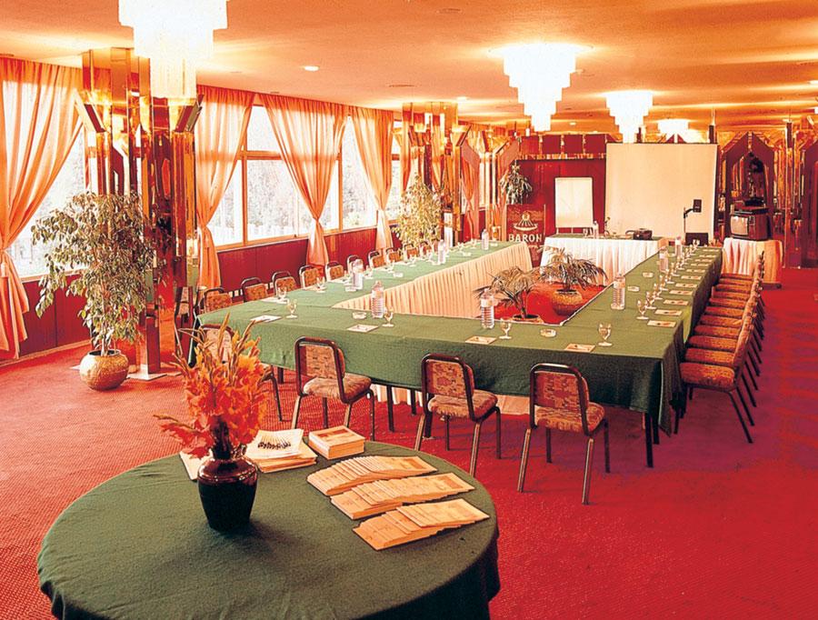 Hotel Baron